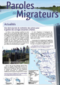 Paroles de Migrateurs n°11