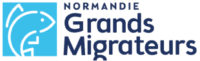 Un observatoire pour les poissons migrateurs de Normandie