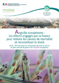 5 années de mise en oeuvre du plan Anguille français