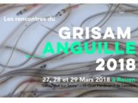 Les journées Anguille du GRISAM