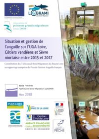 LOGRAMI - Situation et gestion de l’anguille sur l’UGA Loire_couv