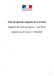 Icon of Plan de gestion anguille de la France, Rapport de mise en oeuvre - juin 2015