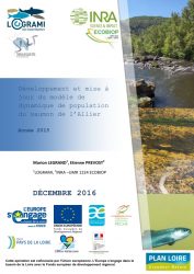 Icon of Développement et mise à jour du modèle de dynamique de population du saumon de l’Allier - Année 2015  