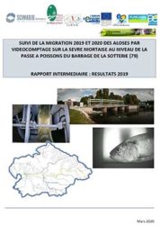 Icon of Suivi de la migration 2019 et 2020 des aloses par vidéocomptage au niveau de la passe à poissons du barrage de la Sotterie sur la Sèvre niortaise (79)