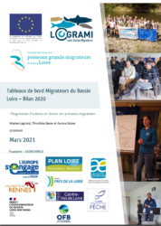 Icon of Tableaux de bord Migrateurs du Bassin Loire – Bilan 2020