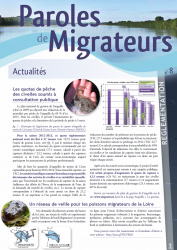 Icon of Paroles de Migrateurs N°8