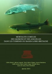 Icon of  Mortalité cumulée des saumons et des anguilles dans les turbines du bassin Loire-Bretagne