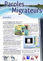 Icon of Paroles de Migrateurs n°6
