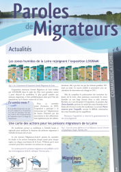 Icon of Paroles de Migrateurs n°4