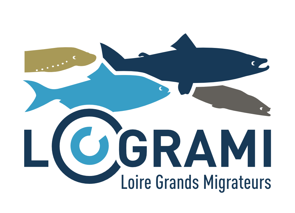 logo Logrami - Loire Grands Migrateurs