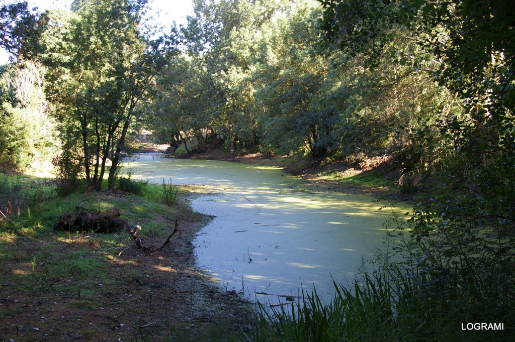 Boire de Loire