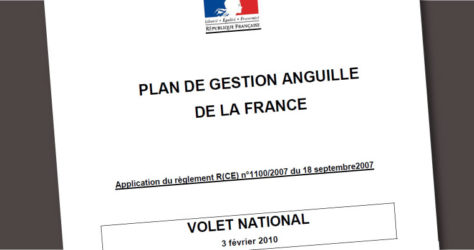 Couverture du Plan de gestion Anguille