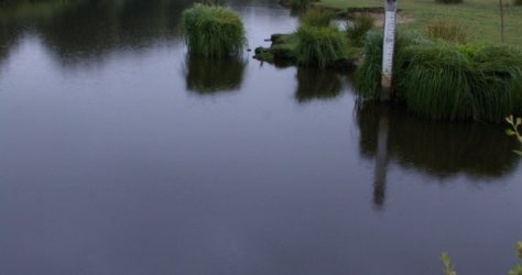 Le bassin de la Loire