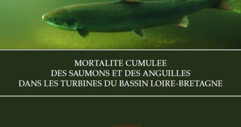 Briand_et_al_2015_mortalite_cumulee_saumon_anguilles_couv