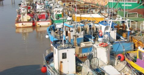 Navires de pêche civelliers au tamis à Fromentine