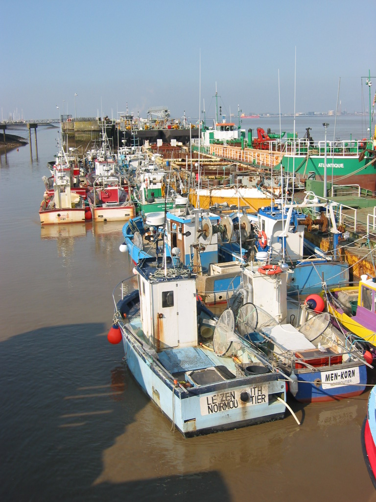 Navires de pêche civelliers au tamis à Fromentine