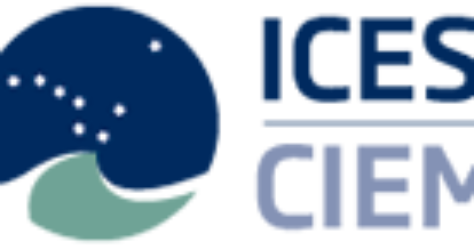Logo ICES CIEM