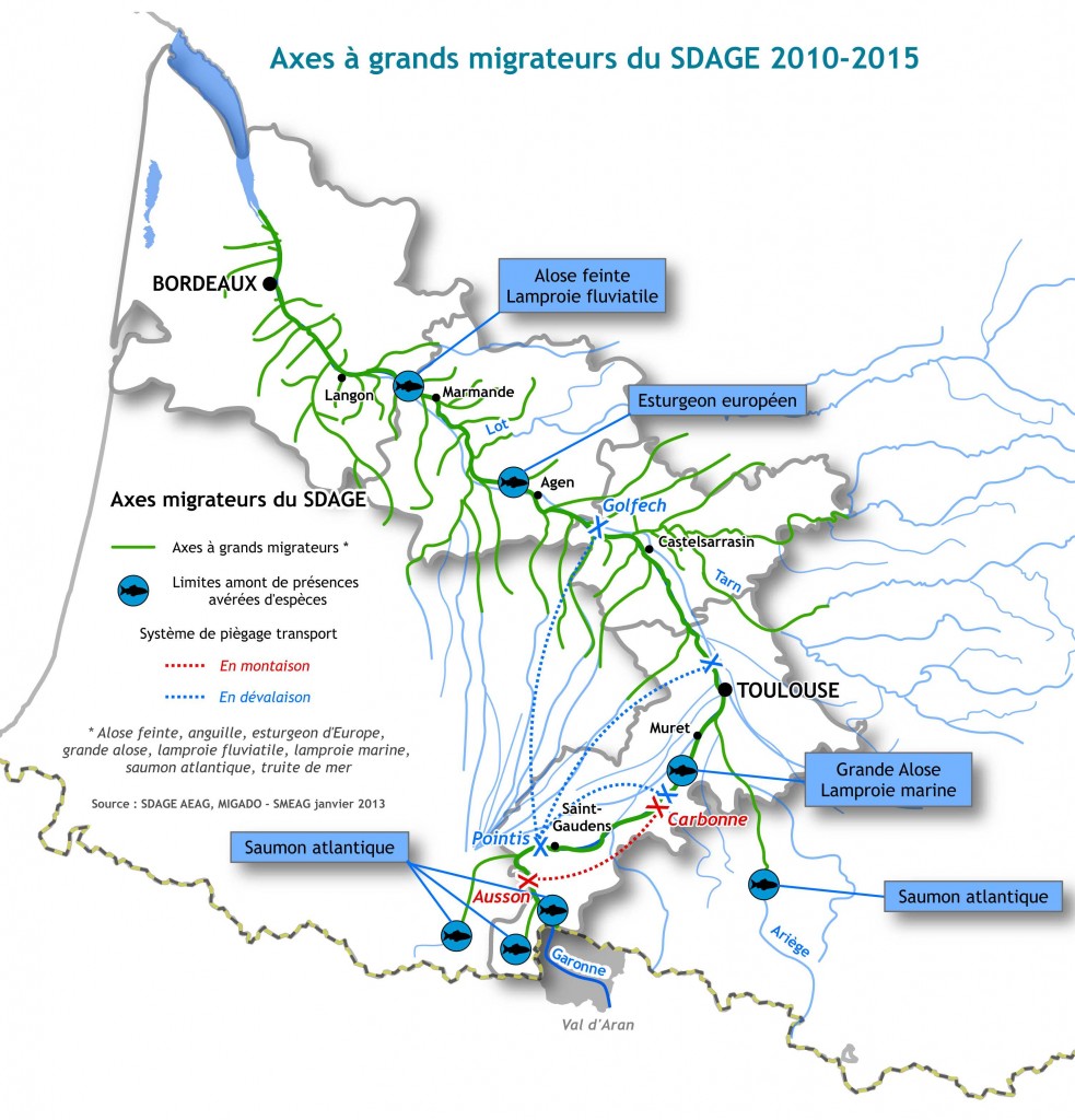 Axes "Migrateurs" de la Garonne