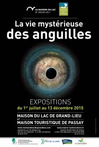 Affiche de l'exposition : La vie mystérieuse des anguilles