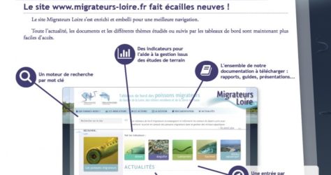 Paroles de Migrateurs N12