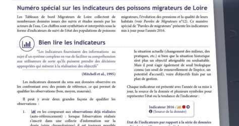 Paroles de Migrateurs N14