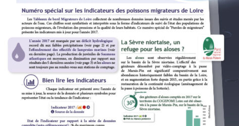 Paroles de Migrateurs N16