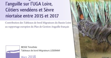 LOGRAMI - Situation et gestion de l’anguille sur l’UGA Loire_couv