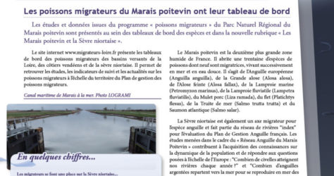 Paroles de Migrateurs N15