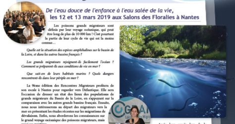 Paroles de Migrateurs N17