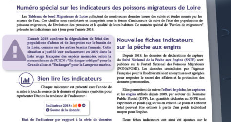 Paroles de Migrateurs N18_couv