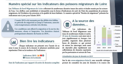 Paroles de Migrateurs N19_couv