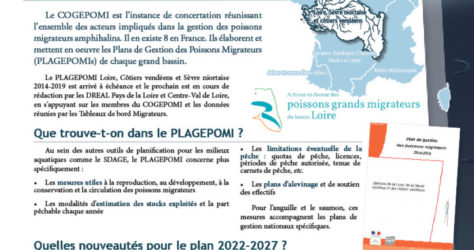 Paroles de Migrateurs N20