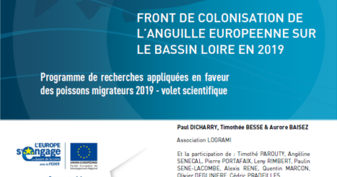 2020 Rapport Reseau Anguille Loire 2019