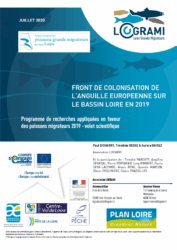 Front de colonisation de l'anguille européenne sur le bassin Loire en 2019