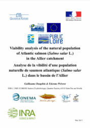 Analyse de la viabilité d'une population naturelle de saumon atlantique (Salmo salar L.) dans le bassin de l'Allier