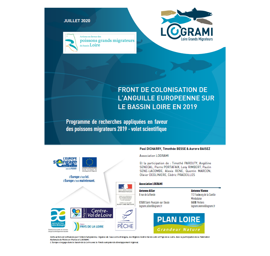 Front de colonisation de l'anguille européenne sur le bassin Loire en 2019