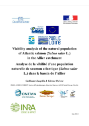 Analyse de la viabilité d'une population naturelle de saumon atlantique (Salmo salar L.) dans le bassin de l'Allier