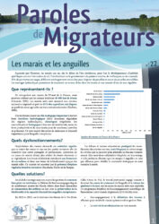 Paroles de Migrateurs n°22